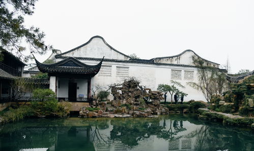 蘇州幽巷藏奇景，明軒氣韻渡重洋